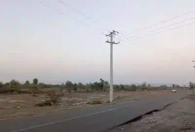 زمین کشاورزی ۶۰ هکتاری میناب روستای چلوگاومیشی
