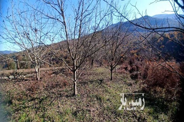 زمین در جاده سد شهید رجایی روستای ورکی-2