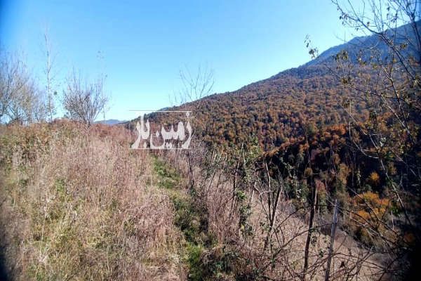 زمین در جاده سد شهید رجایی روستای ورکی-3