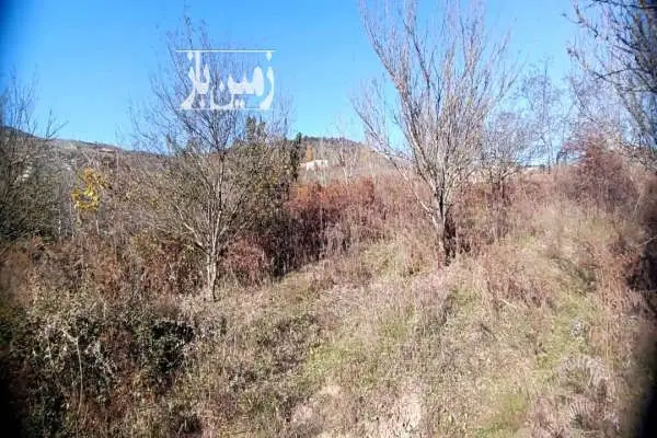 زمین در جاده سد شهید رجایی روستای ورکی - تصویر 4