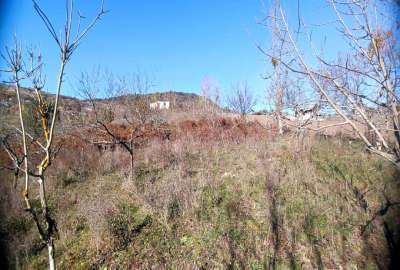 زمین در جاده سد شهید رجایی روستای ورکی