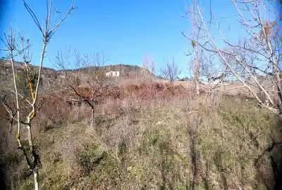 زمین در جاده سد شهید رجایی روستای ورکی