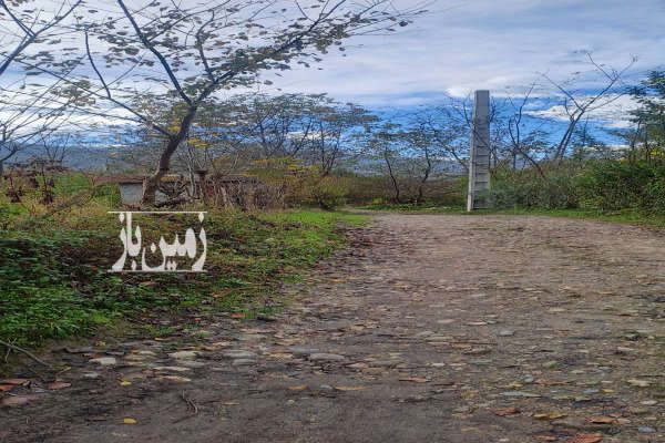 زمین کشاورزی ۳۰۰۰ متری در مازیبون-3