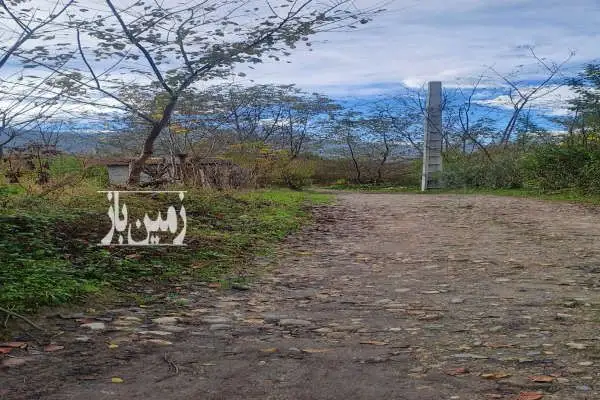 زمین کشاورزی ۳۰۰۰ متری در مازیبون - تصویر 2
