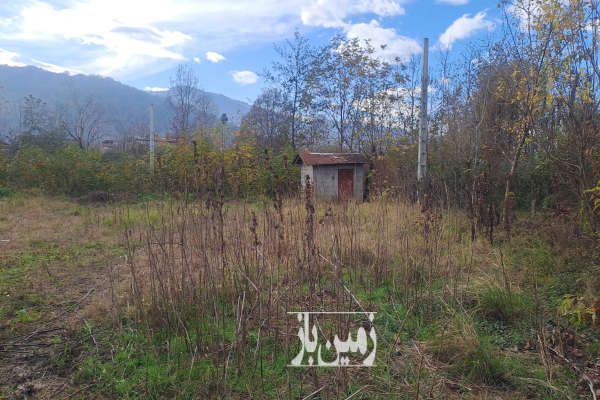 زمین کشاورزی ۳۰۰۰ متری در مازیبون-4