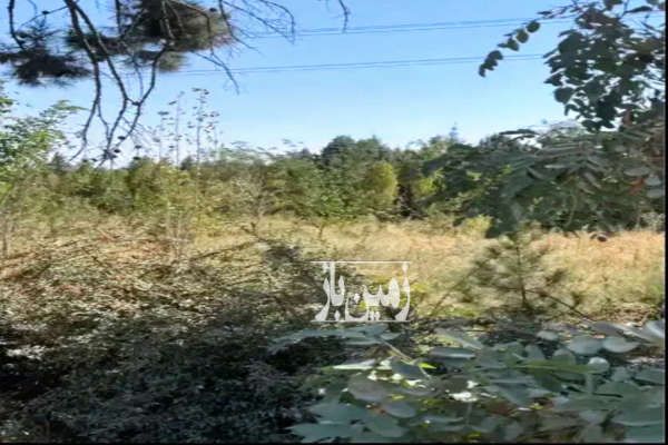 زمین در فیروز بهرام چهاردانگه ۲۸۰۰ متر-1