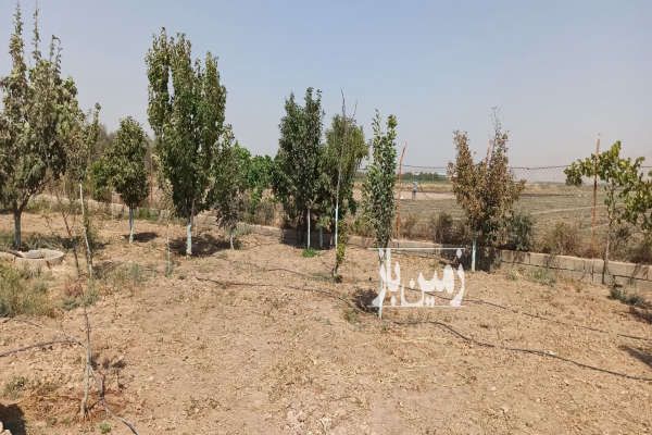 فروش زمین کشاورزی و استخر پرورش ماهی ۱۸۰۰۰ متر-3