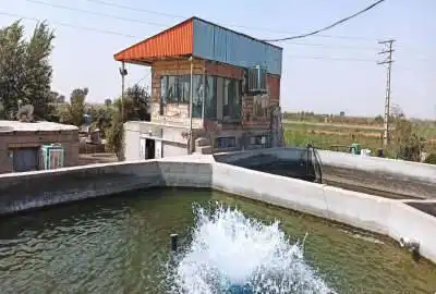 فروش زمین کشاورزی و استخر پرورش ماهی ۱۸۰۰۰ متر