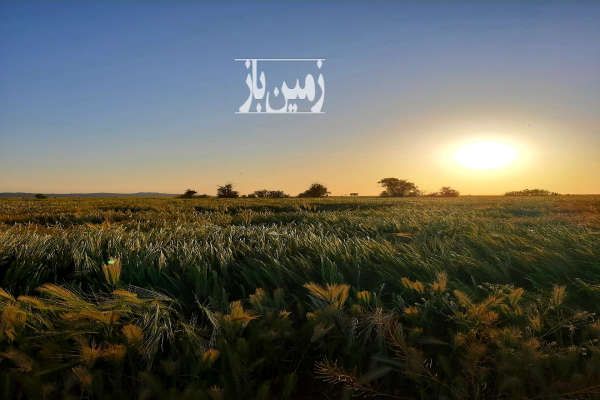 زمین در کردان جاده سهیلیه شهرک کوروش ۵۰۰ متر-1