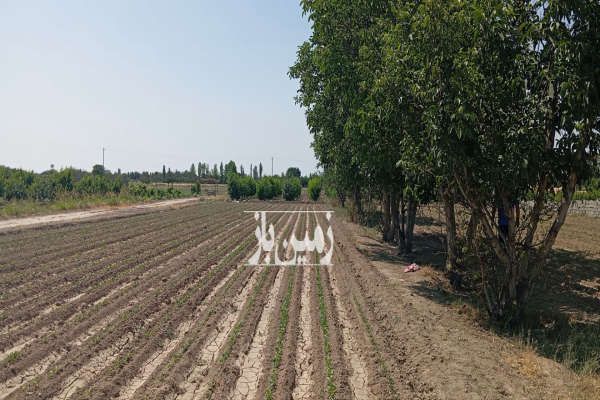 زمین هشتگرد قدیم جاده سعیدآباد روستای ایقربلاغ ۳۵۰۰ متر-3