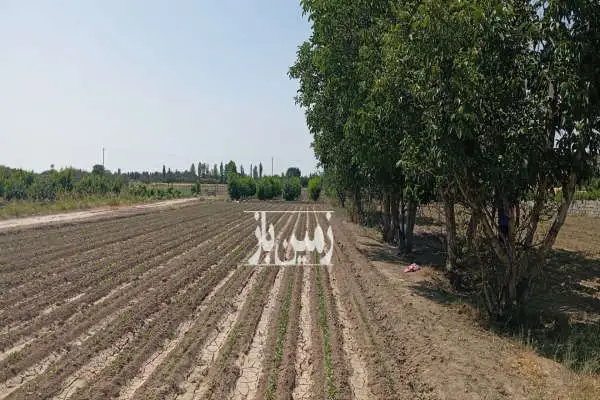 زمین هشتگرد قدیم جاده سعیدآباد روستای ایقربلاغ ۳۵۰۰ متر - تصویر 3