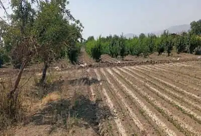 زمین هشتگرد قدیم جاده سعیدآباد روستای ایقربلاغ ۳۵۰۰ متر