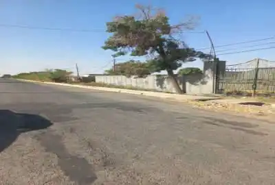 زمین روستای دولت آباد برای ساخت خانه باغ گلخانه سفره خانه