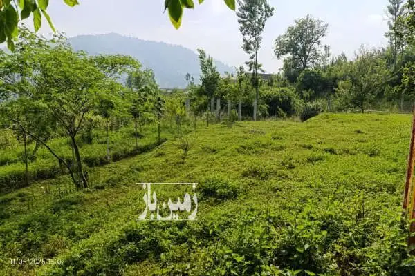 زمین ۱۰۰۰ متری در بندپی شرقی بابل - تصویر 4