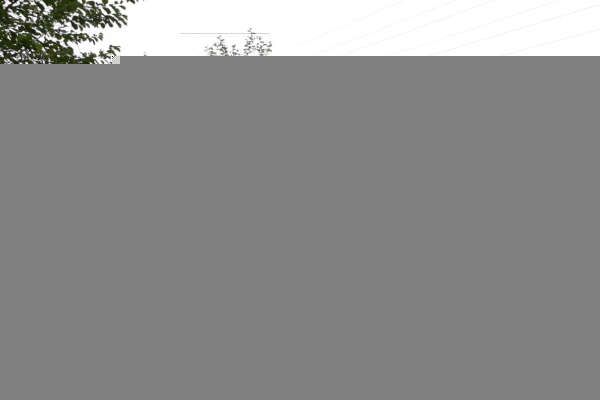 فروش زمین با سند معتبر گیلان چابکسر اوشیان ۲۰۰۰ متر-3