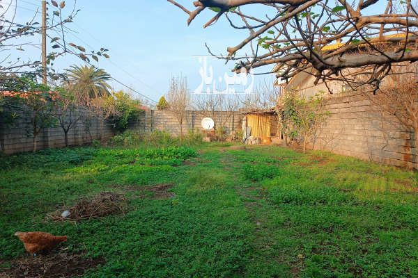فروش زمین مسکونی روستای کیسم گورابسر ۳۰۰ متر-3