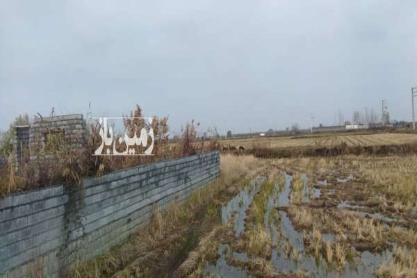 زمینی بصورت باغی در آمل روستای تجنک ۱۶۰۰ متر-3