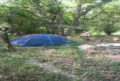 یک قطعه باغچه ۵۰۰ متری جاده فیروزکوه روستای هرانده