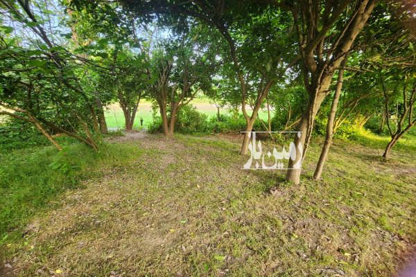 فروش زمین مسکونی سنگر به سمت سیاهکل ۵۵۵ متر-1