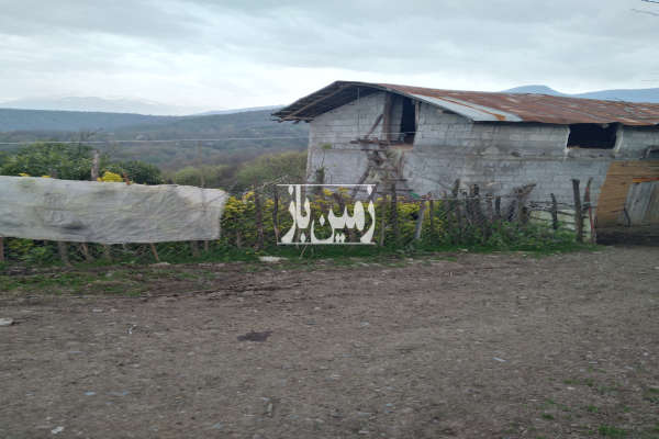 زمین دارای حداقل ۸۰۰ متر بافت تنکابن روستای سلیم اباد-2