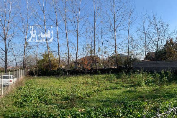 زمین ۵۰۰ متری بر خیابان ۱۲ متری در شاندرمن-3