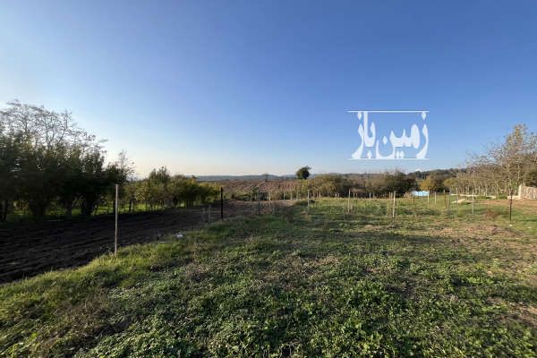 زمین خونه سرا در ییلاق هزارجریب نکا ۲۶۷ متر-4