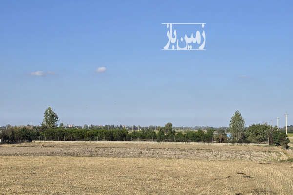 باغ مرکبات و پرورش ماهی در قائمشهر موارم کلا ۴۰۰۰ متر-3