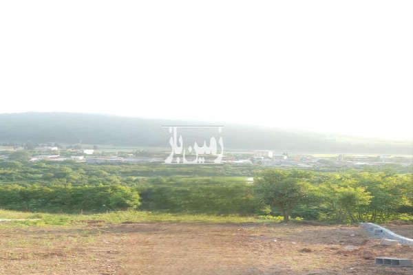 فروش ۱۵۰ متر زمین در شهرودکلا ویو ابدی-4