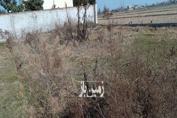 فروش زمین مسکونی در ماسال روستای خانقاهبر ۳۰۹ متر-3