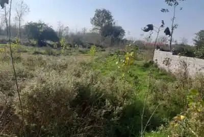 فروش زمین ۱۹۷ متری در موبندان
