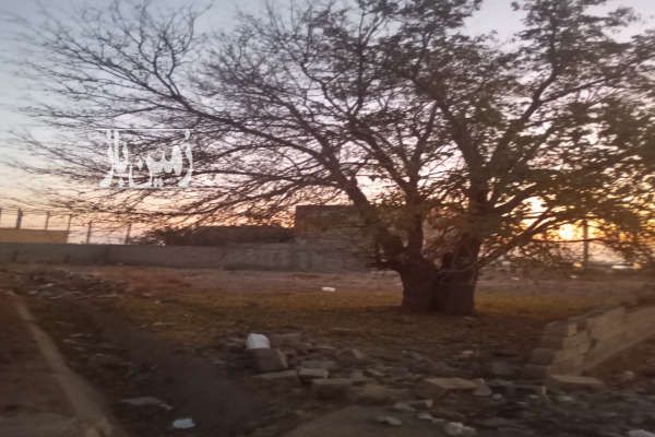 زمین تجاری مسکونی در آبیک قزوین ۱۳۰۰ متر-1