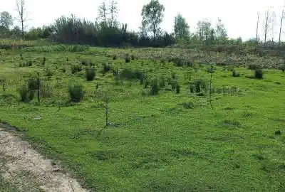 زمین پشت جاده فومن روستای لادمخ ۳۰۸ متر