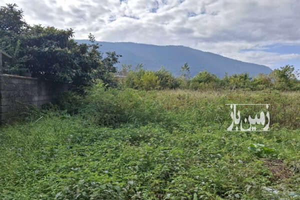فروش زمين در چالوس هچیرود روستای هرطه کلا ۱۴۲۰ متر-1
