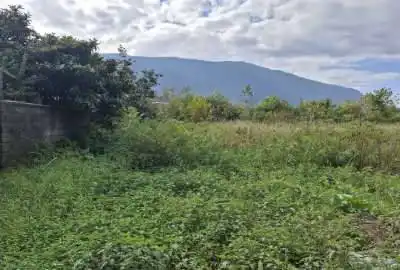 فروش زمين در چالوس هچیرود روستای هرطه کلا ۱۴۲۰ متر