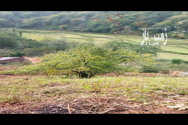 زمین در اطاقور خرما سیزکوه ۷۶۲ متر-2