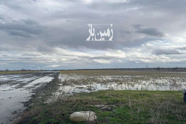 فروش ۲۲۰۰ متر زمین کشاورزی نور رستمرود-2