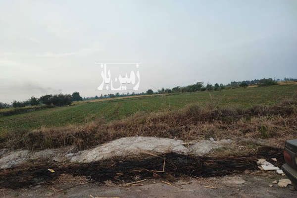 زمین بر اصلی روبروی دهکده برنج طبیعت ۱۰۰۰ متر-3