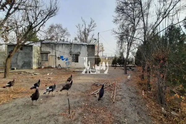 باغ ۱۲۰۰ متری در سراب نیلوفر روستای کوسه وند - تصویر 2