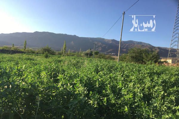 فروش باغ ۲۵۰۰ متر بر جاده شبستر به سلماس روستای چشمه کنان-4