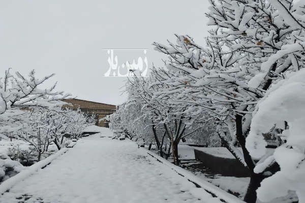 فروش باغ زیبا در منطقه روستایی ۱۰۰۰ متر-1