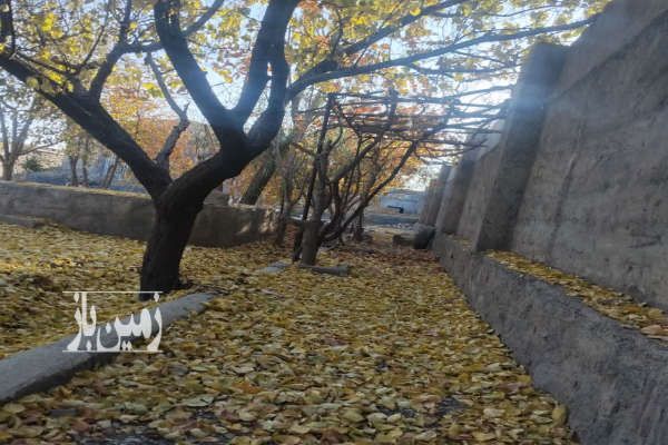 فروش باغ زیبا در منطقه روستایی ۱۰۰۰ متر-3