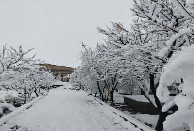 فروش باغ زیبا در منطقه روستایی ۱۰۰۰ متر