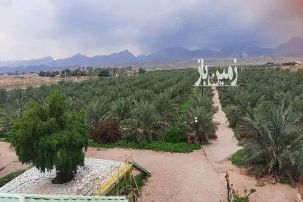 فروش نخلستان با تاسیسات باغی و ویلا ۱۹۰۰۰۰ متر - تصویر 3