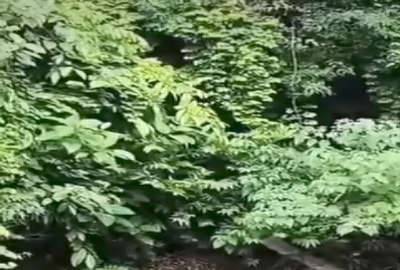 زمین در نمین بر جاده مابین سولا و جگرکندی ۷۰۰۰ متر