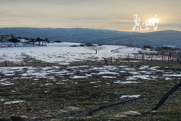 فروش زمین در ساری کیاسر اغوزگله ۱۸۰ متر-1