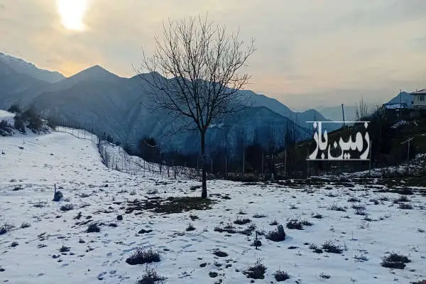 فروش زمین در ساری کیاسر اغوزگله ۱۸۰ متر - تصویر 2