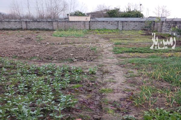 فروش زمین ابتدای جاده دو هزار روستای توکله ۲۱۰ متر-2