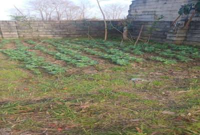 فروش زمین ابتدای جاده دو هزار روستای توکله ۲۱۰ متر