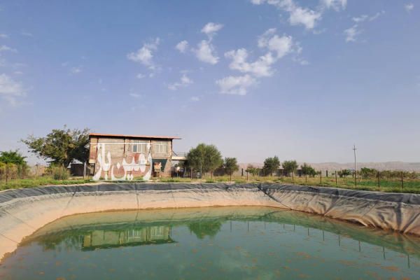 زمین مجتمع کشت و صنعت دامپروری شترمرغ و کشاورزی ۴۰۰۰۰ متر-3