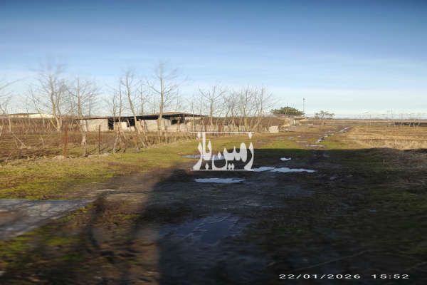 زمین در گیلان تالش خطبه سرا ۲۰۰ متر-3